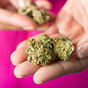 People Before Profit Bill to legalise personal use of cannabis seen as ‘test for Government'