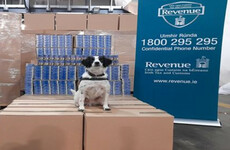 Over four million cigarettes seized by Revenue in Dublin yesterday