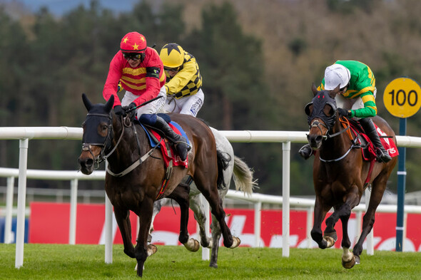 Willie Mullins sees Klassical Dream making winning start over fences - Vimarsana News