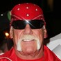 5 things we learned from Hulk Hogan's sex tape