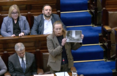 Sinn Féin TD criticised for waving photo of 'vulnerable' man in Dáil chamber