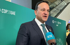 No plans for Ireland to commit to further cuts in methane emissions at COP28 - Taoiseach