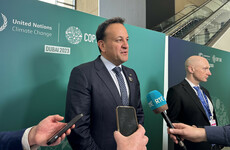 Taoiseach criticises 'divisive' McEntee no confidence vote and believes it 'can only fail'