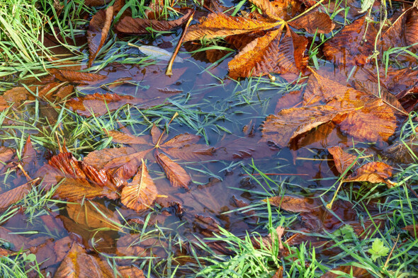 Rainfall warnings remain in place north and south of the border - Vimarsana News