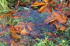 Rainfall warnings remain in place north and south of the border