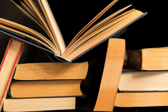 Poll: How often do you read a book? - Vimarsana News
