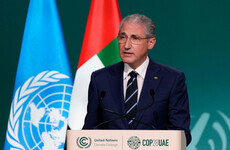 Azerbaijan to host next year's COP summit, says minister