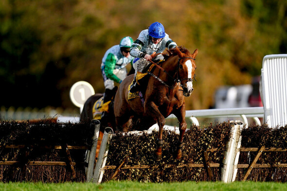 Not So Sleepy prevails in Constitution Hill's absence at Sandown - Vimarsana News