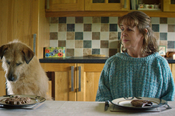 TG4's and Cúla4's fantastic Christmas schedule has something for everyone - Vimarsana News