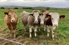 Farmer: 'We're in danger of becoming the climate scapegoats for fossil fuel interests'