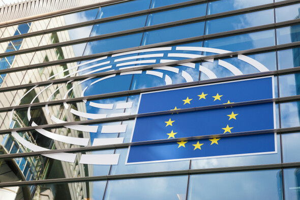Viktor Orban, Gaza, and an EU-wide definition of rape: Irish MEPs' top concerns going into 2024 - Vimarsana News