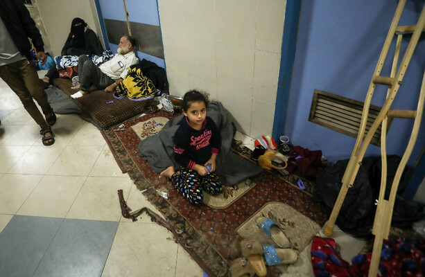 'They're not living, they're surviving': Disease, thirst and hunger ...