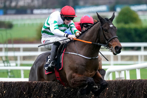 Willie Mullins-trained Facile Vega well beaten by Found A Fifty at Leopardstown - Vimarsana News