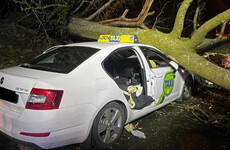 Taxi driver injured after tree falls on vehicle during heavy wind in Co Waterford