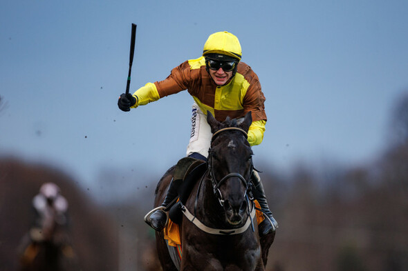 Galopin Des Champs decimates superstar field to win Savills Chase by 23 lengths - Vimarsana News