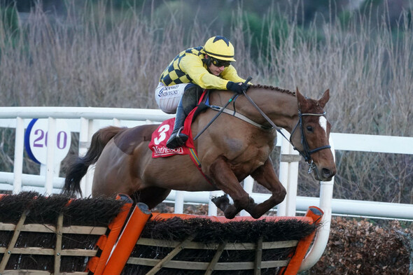 State Man the impressive winner as Ireland's best two-mile hurdlers do battle at Leopardstown - Vimarsana News