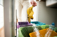 New requirement for all households to have brown bin from January 'won't be an overnight change'