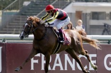 Solemia springs huge surprise by beating Orfevre at Longchamp