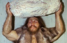 US Congressman: evolution is a lie "straight from the pit of hell"