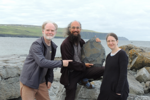 'Highly unusual' 315-million-year-old fossil discovered near Cliff of Moher - Vimarsana News