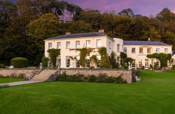 Певец Крис Де Бург в прошлом году продал самый дорогой дом Ирландии, обойдя Дермота Десмонда