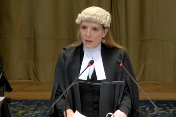 Blinne Ní Ghrálaigh: Who is the Irish lawyer acting in a genocide case against Israel? - Vimarsana News