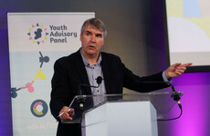 Children's Ombudsman pulls out of Government's domestic violence strategy over lack of funding