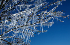 Number of yellow weather warnings for ice and low temperatures issued across the country