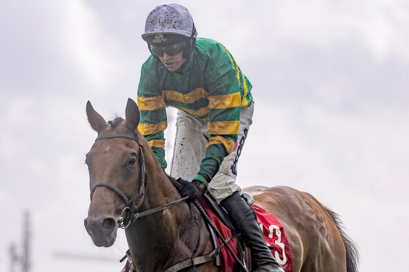 Victories for Mystical Power and Spillane's Tower at Punchestown - Vimarsana News