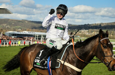 Constitution Hill ruled out for late January run, Mullins-Henderson big two in for Ascot