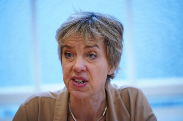 Ivana Bacik appeals six storey hotel in Dublin due to housing and 'drinking emporia' fears - Vimarsana News