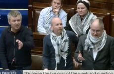 'We're continuing as if it's business as usual': Dáil suspended briefly after TDs push for debate on Gaza