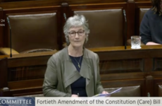 TD will 'take her chances' with current 'women in the home' wording rather than 'wishy washy' replacement