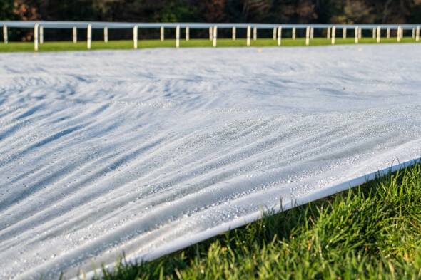 Mullins-Henderson battle off as Ascot fixture abandoned due to weather - Vimarsana News