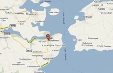 House fires in Cork and Galway kill two