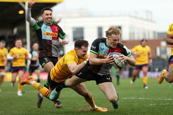 Sorry Ulster crash out of Champions Cup as 'Quins run amok at The Stoop - Vimarsana News