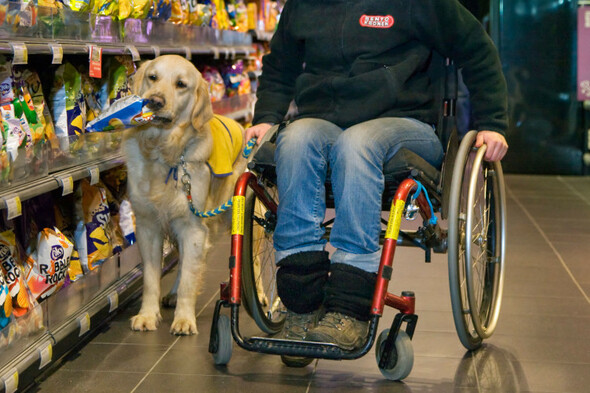 Study finds negative stereotypes about disabilities may fuel excuses for ableism - Vimarsana News