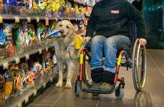 Study finds negative stereotypes about disabilities may fuel excuses for ableism