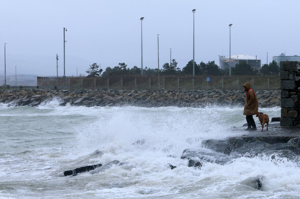 29,000 properties without power in wake of Storms Isha and Jocelyn - Vimarsana News