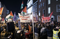 Motion for govt to join South Africa's case against Israel defeated in Dáil