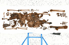 Bog body discovered in Derry believed to be over 2,000 years old