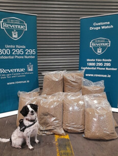 Cannabis with a value of close to €1.2 million found in parcels in Dublin