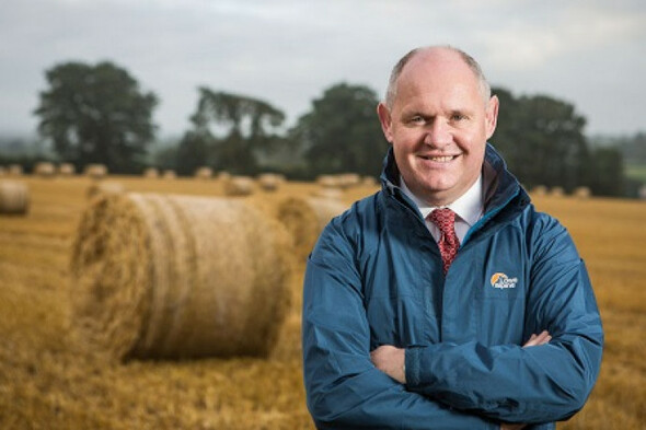"It's a great privilege": How a Tipperary estate agent does his best to serve his community - Vimarsana News