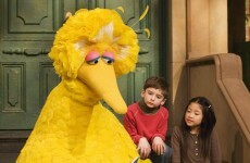VIDEO: Sesame Street ask Barack Obama to take down Big Bird ad