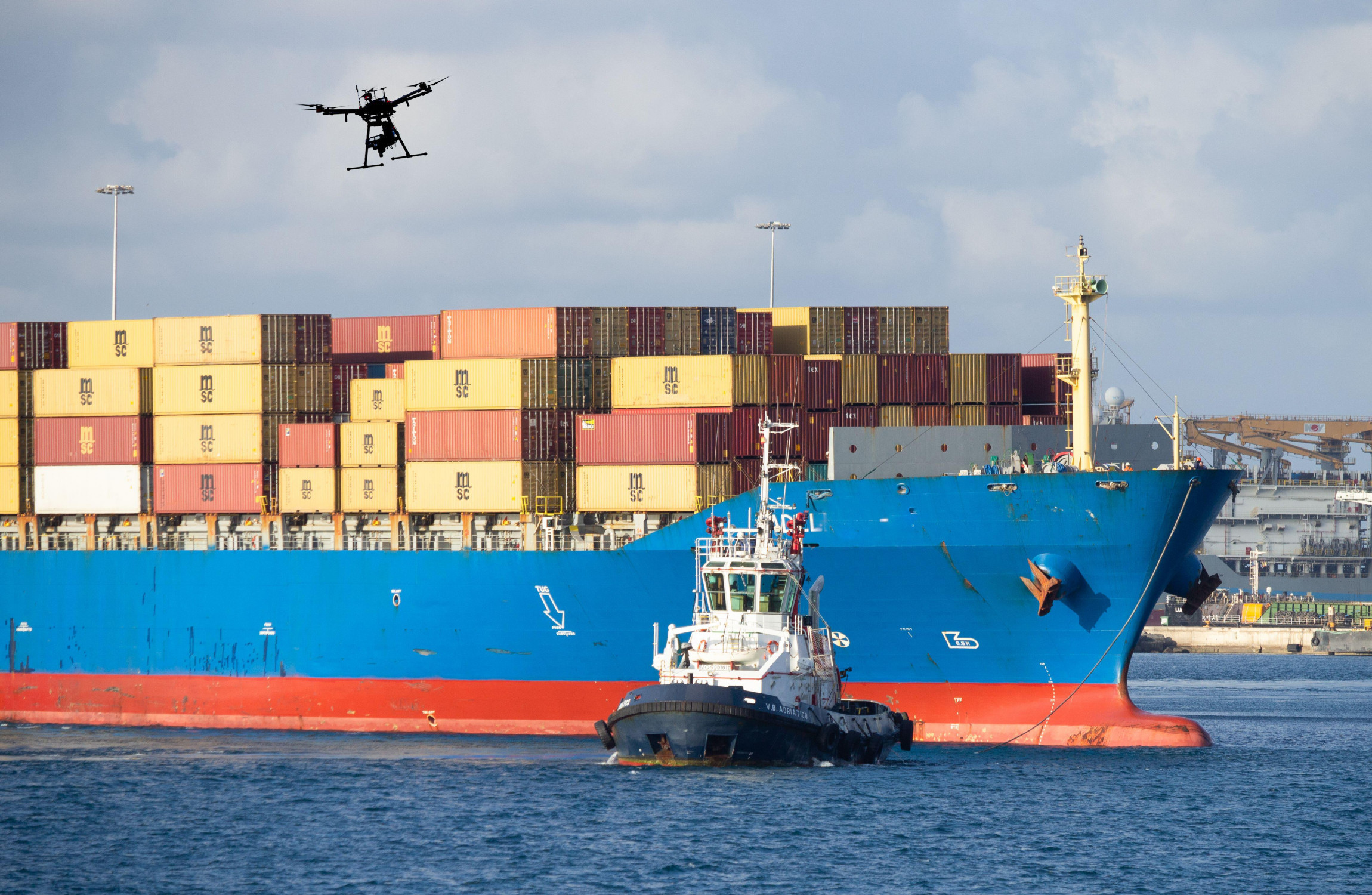 More Than 16,500 Sheep And Cows Stuck On Board Ship Off Australia After ...