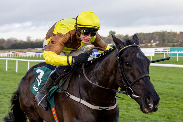 Galopin Des Champs successfully defends Irish Gold Cup crown - Vimarsana News