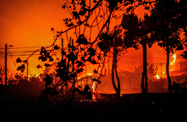 Le Chili déclare l’état d’urgence après que 51 personnes ont été tuées dans des incendies de forêt « sans précédent »