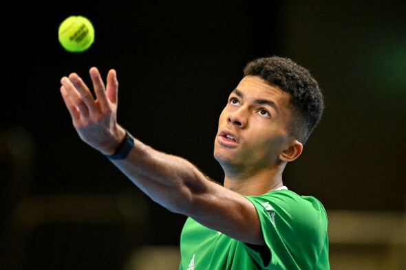 Brave Ireland beaten by Austria in Davis Cup - Vimarsana News