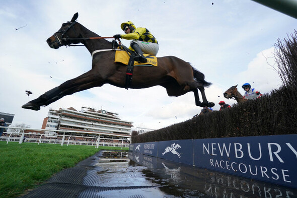 Shishkin returns to winning ways, and Edwardstone roars back to form at Newbury - Vimarsana News