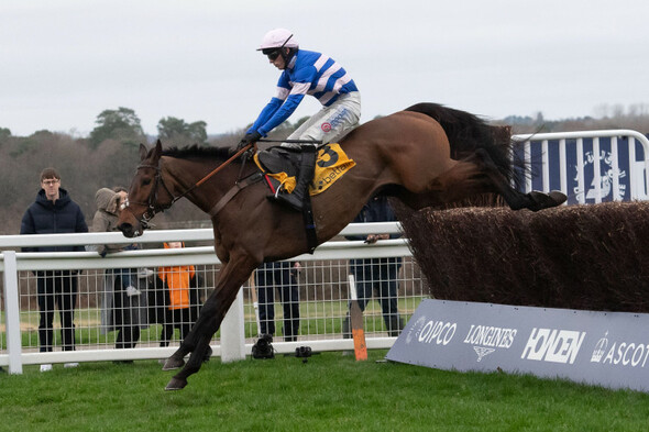 Pic D'Orhy makes all for stylish Ascot Chase success · The 42 - Vimarsana News
